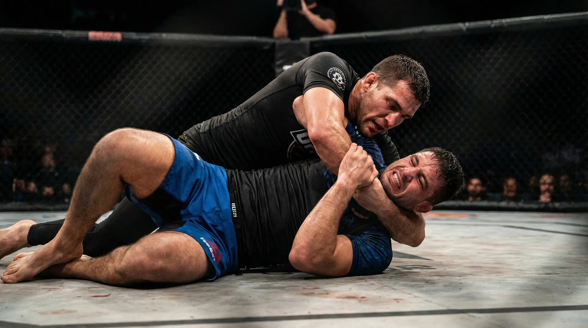 每日大赛 后入视频精彩集锦背后突袭战术